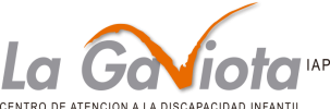 La Gaviota IAP Centro de atención a la discapacidad infantil