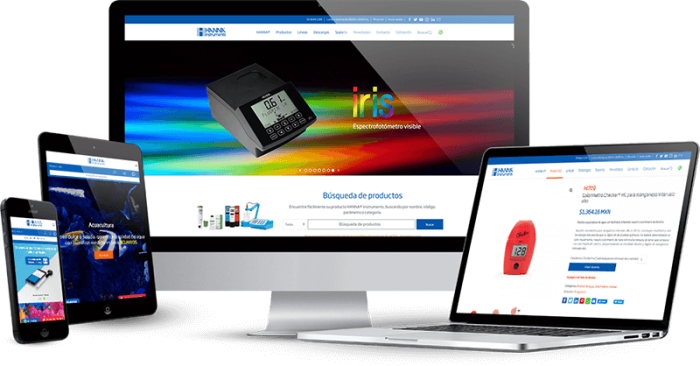 HANNA® instruments