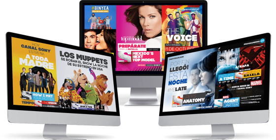 Diseño Web