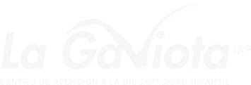  La Gaviota IAP - Centro de atención a la discapacidad infantil