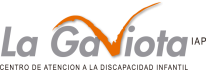  La Gaviota IAP - Centro de atención a la discapacidad infantil