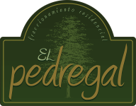 El Pedregal | Fraccionamiento recidencial